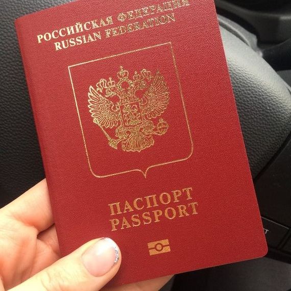прописка в Болотном